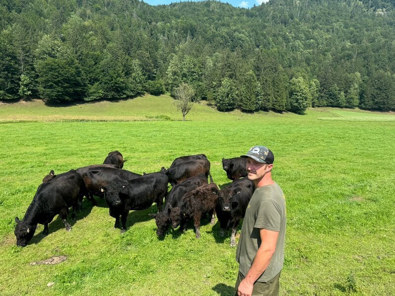 Andreas Teufl mit seinen Galloway’s – Bild: ServusTV /​ Thomas Weidinger /​ Degn Film