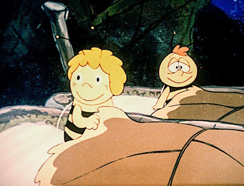 Die Käfer haben sich für den Winter unterm Laub verkrochen. – Bild: ORF/​ZDF/​Apollo-Film