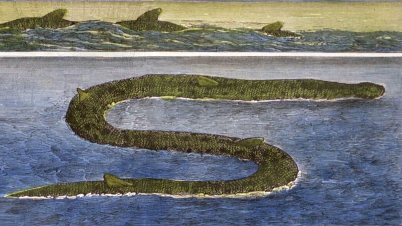 Eine große Seeschlange – Bild: A+E Global Media /​ THE HISTORY CHANNEL