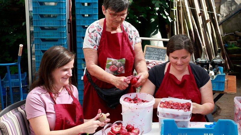 Zu Tisch Mosel – Deutschland Die reiche Pfirsichernte wird verarbeitet – Bild: SRF/​Dieter Stürmer