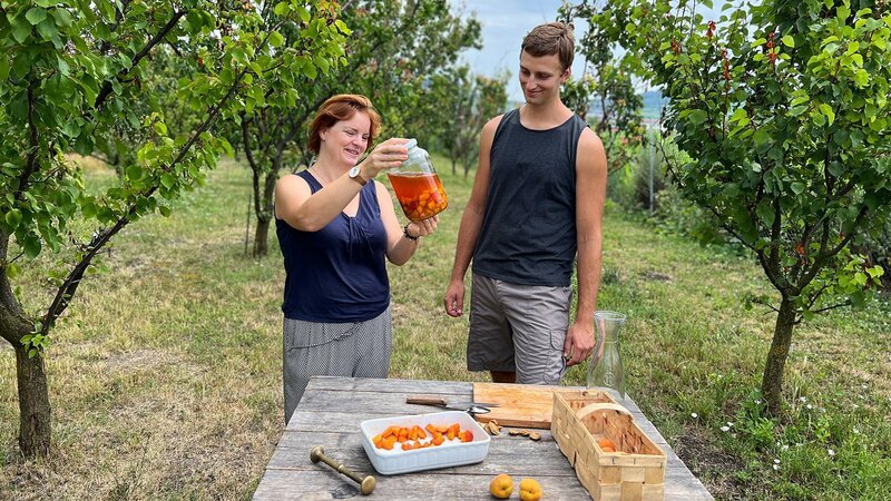 Zu Tisch Mähren – Tschechische Republik Die Familie Ilčíková kocht gemeinsam – Bild: SRF/​Reiner Bauer