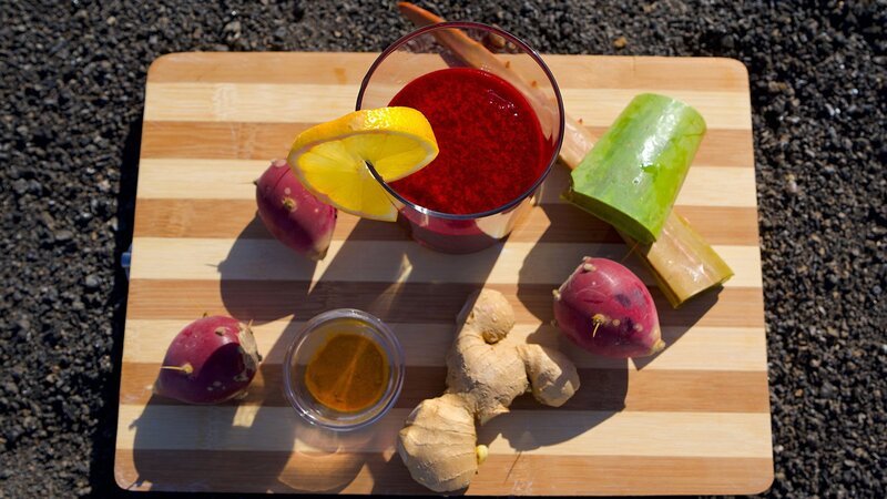 Zu Tisch Lanzarote – Spanien Aloe Vera, Kaktusfeige und Gofio ergeben einen feinen Smoothie – Bild: SRF/​Reiner Bauer