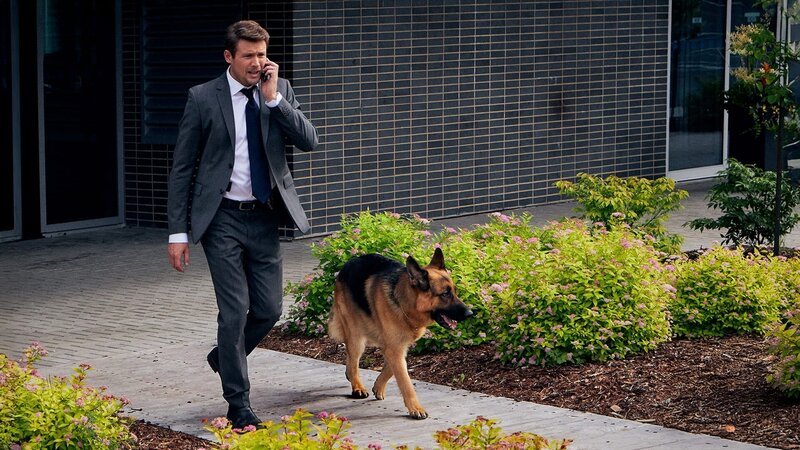 Bild: Shaftesbury /​ Pope Productions