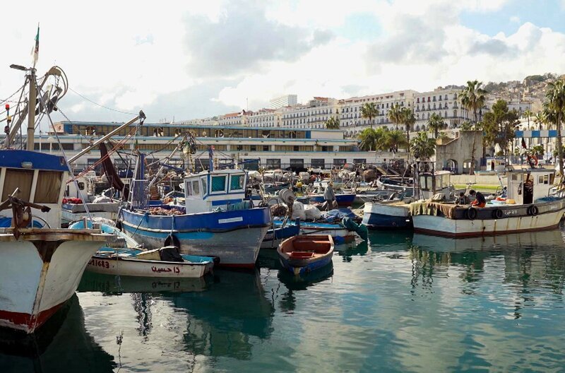 Die Bucht von Algier und damit der Zugang zum Meer steht im Mittelpunkt eines Projekts zur Modernisierung der Stadt. – Bild: Elephant Doc