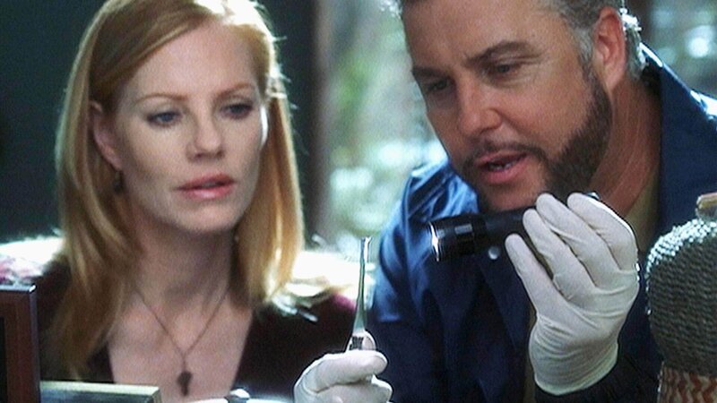 Stolz zeigt Gil (William Petersen) seiner Kollegin Catherine (Marg Helgenberger) sein Beweisstück! Mit diesem Haar schnappt er den Mörder. – Bild: MG RTL D /​ CBS