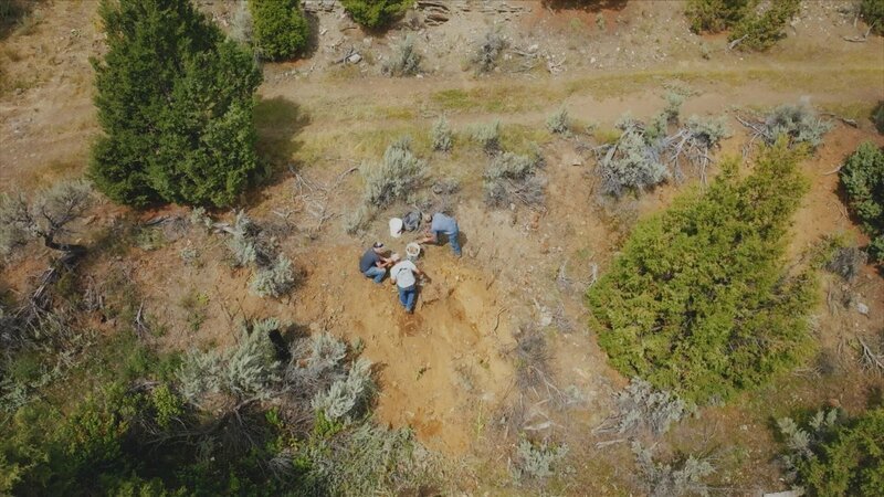 Bild: Licensed by Warner Bros. Entertainment GmbH