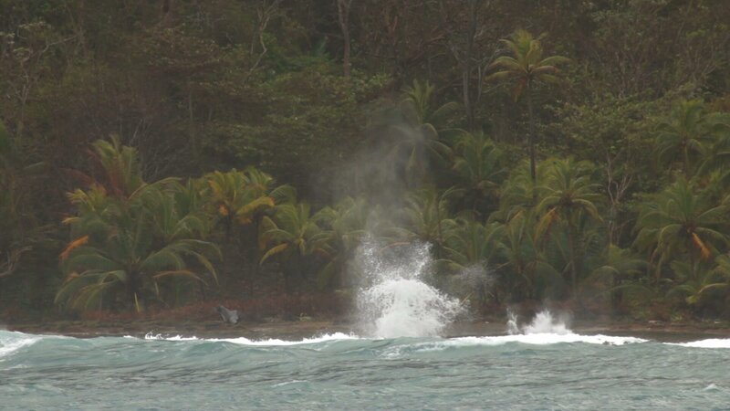 Bild: Licensed by BOAT ROCKER RIGHTS, Inc.