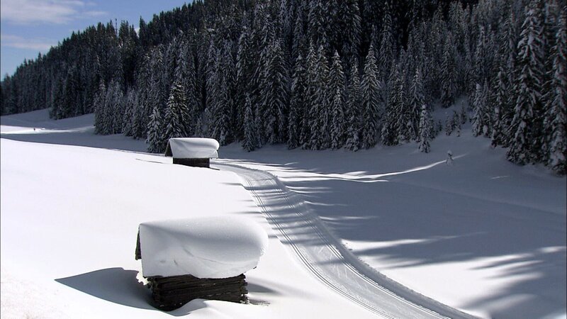 Heustadl im Lesachtal Osttirol. – Bild: ORF