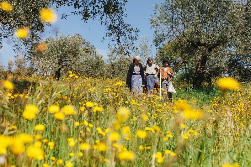 Drei Hirtenkinder, drei Geheimnisse. Die Geheimnisse von Fátima sind Teile einer Botschaft, die die drei Hirtenkinder Lúcia dos Santos, Jacinta Marto und Francisco Marto am 13. Juli empfangen haben. – Bild: LIKE A SHOT ENTERTAINMENT