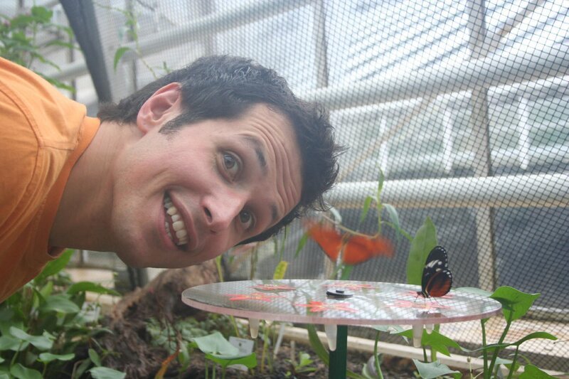 Willi im Schmetterlingshaus des Botanischen Gartens in München. – Bild: BR/​megaherz gmbh