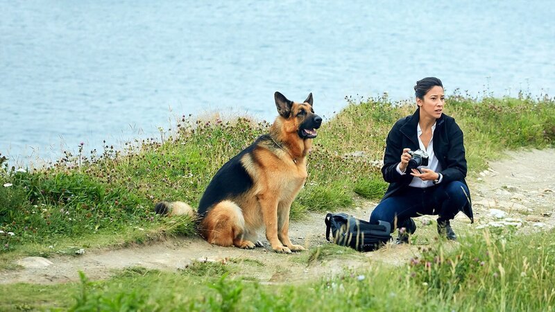 Bild: Shaftesbury /​ Pope Productions