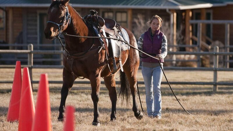 Amy steht eine Klage ins Haus, so dass sie in ihrer Arbeit verunsichert ist. – Bild: MG RTL D