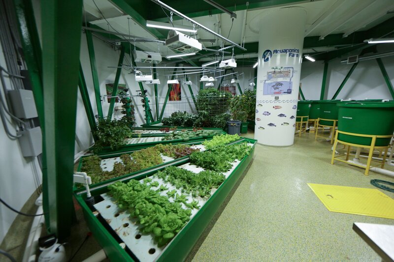 Der private Atombunker im ehemaligen Raketensilo bietet viel Komfort, darunter frisches Gemüse. – Bild: Phoenix Television