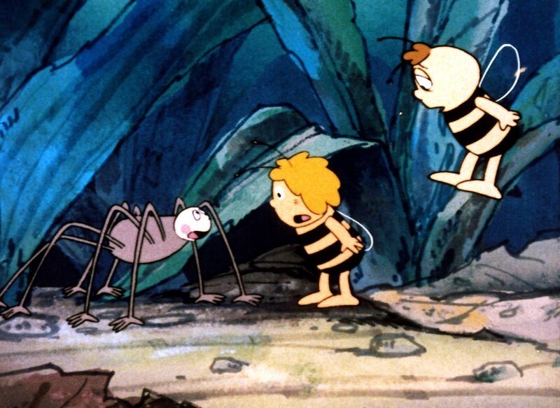 Ob der Weberknecht Erfahrung mit Küchenschaben hat? – Bild: ZDF