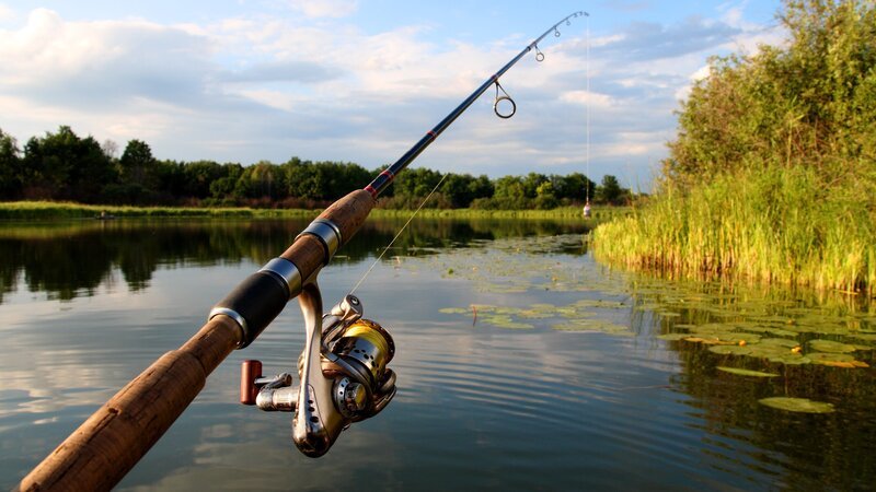 fishing rod – Bild: Mikhail Kokhanchikov /​ Getty Images/​Hemera /​ ThinkstockPhotos-95092775.