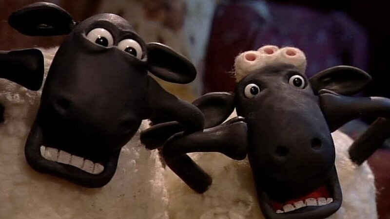 Was ist passiert? Den Schafen steht der Schrecken ins Gesicht geschrieben. – Bild: WDR/​Aardman Animation Ltd./​BBC