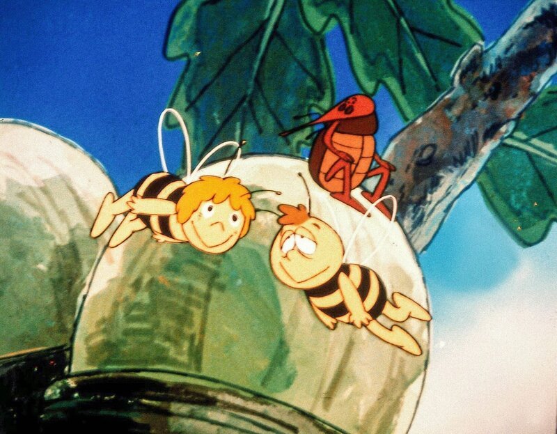 Das Moskitoweibchen legt seine Eier mit Vorliebe in Eicheln. – Bild: ORF/​ZDF/​Apollo-Film