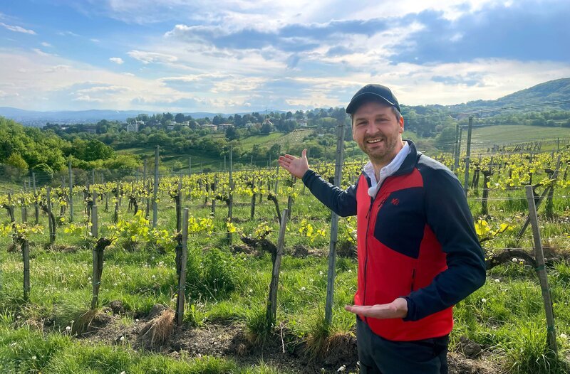 Wie teuer ist ein Urlaub in Wien? „Was kostet …?“-Reporter Johannes Zenglein ist fünf Tage in Wien unterwegs und findet es heraus. Kommt er mit einem Budget von 500 Euro aus? Vor den Toren Wiens wird Wein angebaut. Johannes Zenglein wandert durch die Weinberge und findet heraus, ob die Unterkünfte etwas außerhalb der Stadt günstiger sind als im Zentrum. – Bild: WDR/​Bavaria Entertainment GmbH