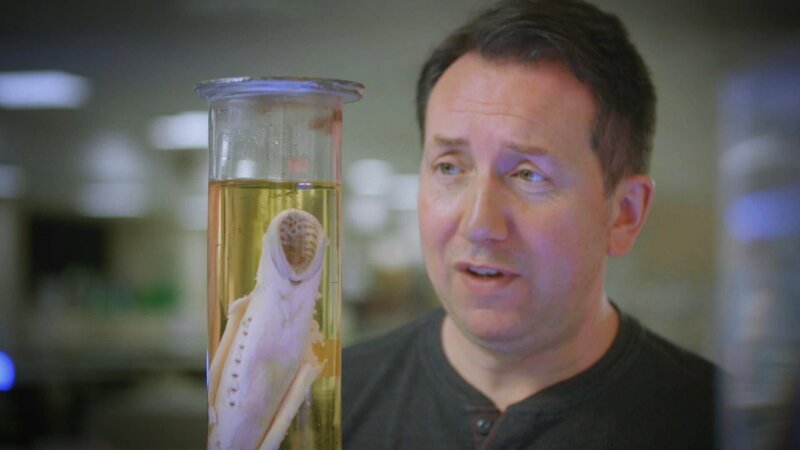 Dr. Rhys Jones – Bild: Warner Bros. Discovery