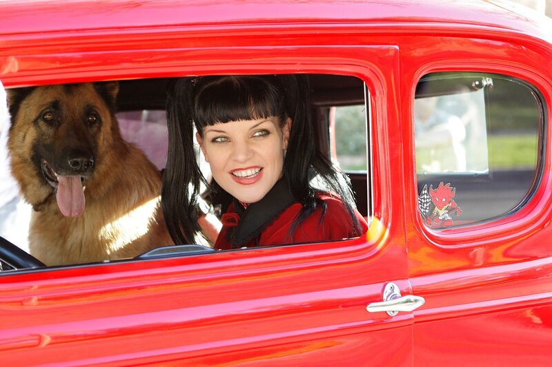 Das Team ermittelt in einem Fall von Drogenschmuggel, als McGee von einem Hund angefallen und verletzt wird. Abby (Pauley Perrette) setzt daraufhin ihre Karriere aufs Spiel, um zu beweisen, dass der Hund nicht wirklich aggressiv ist … – Bild: AXN