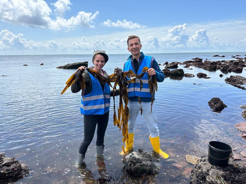 Wie können Algen bei der Klimakrise helfen? Diese Frage klären Meeresbiologin Dr. Julia Schnetzer vom Alfred-Wegener-Institut und „PUR+“-Moderator Eric Mayer bei einer Forschungsreise auf die Insel Helgoland. – Bild: Eric Mayer /​ ZDF