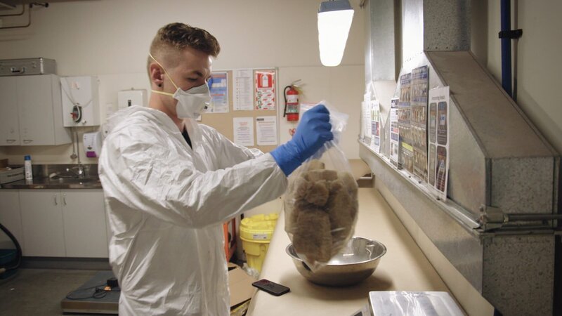 Bild: Greenstone TV Lizenzbild frei