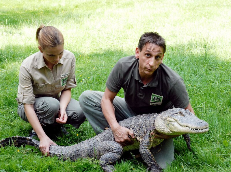 Tierpfleger Conny (Thorsten Wolf, rechts) und Tierpflegerin Anett (Anna Bertheau) machen sich Sorgen um Krokodil Konrad. – Bild: MDR/​Christa Köfer