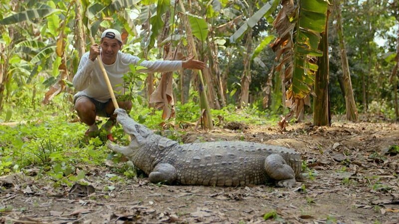 Yucatán Peninsula – Frank Cuesta – Bild: Animal Planet