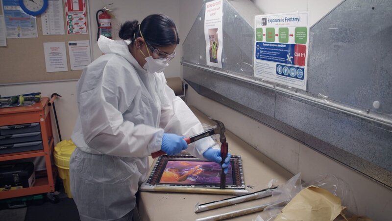 Bild: Greenstone TV Lizenzbild frei