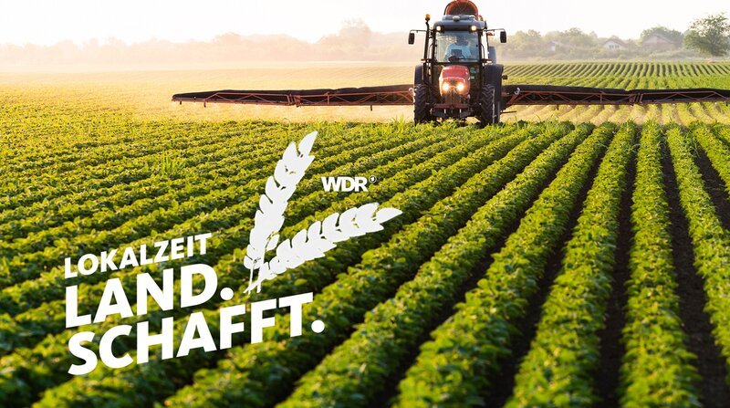 WESTDEUTSCHER RUNDFUNK KÖLN Lokalzeit LandSchafft Keyvisual – Lokalzeit LandSchafft zeigt spannende Geschichten aus der Landwirtschaft. Wir schauen Landwirtinnen und Landwirten in Nordrhein-Westfalen über die Schulter, wie sie leben und arbeiten und welche moderne Technik sie dafür einsetzen. Inspirierende Familiengeschichten vom Land – echt und nah dran. – Bild: WDR /​ WDR Kommunikation/​Redaktion Bild