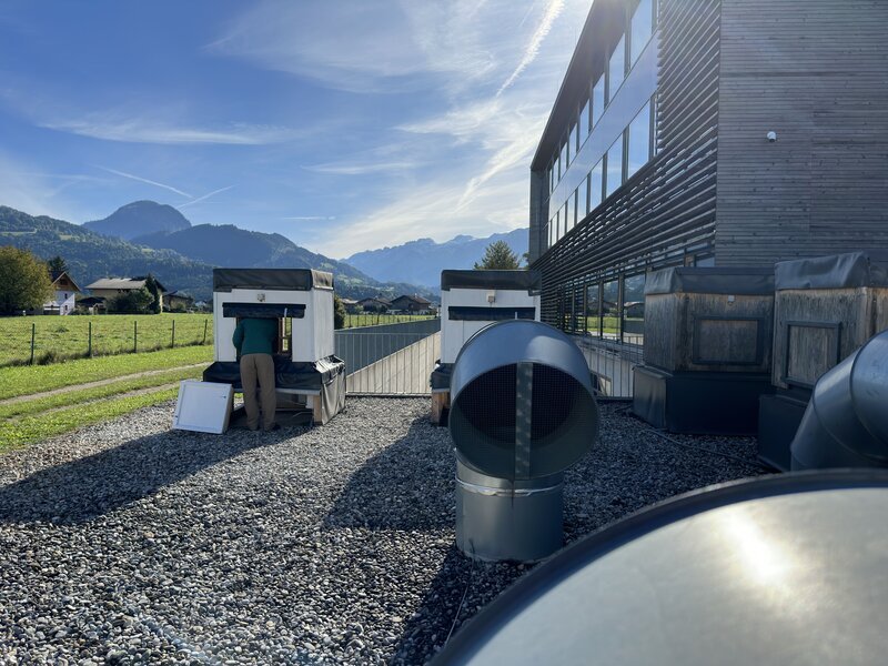 Am Campus Kuchl der FH Salzburg werden die imprägnierten Hölzer in diesen Kuben getestet – Bild: Bilderfest /​ ServusTV