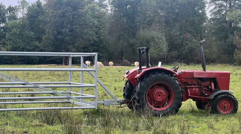 Hinter Gittern sicher durchs Spreewalddorf. – Bild: RBB/​Dagmar Lembke