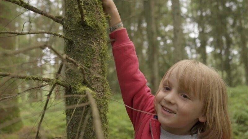 Ernies Katze 3 – Bild: NDR/​Sesame Workshop