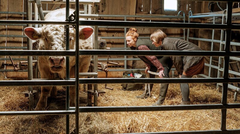 Jule Christiansen (Marleen Lohse), Anette Weinert (Katja Donowski) – Bild: ARD/​Gordon Timpen, SMPSP
