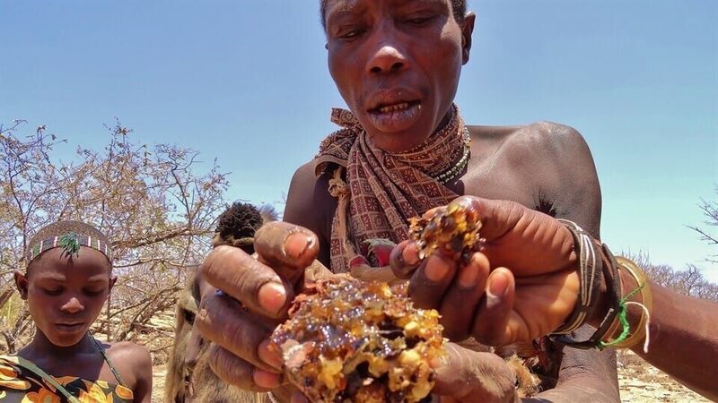 Maiya und Maua – Leben in der Wildnis 8 – Bild: rbb/​Frank Feustle