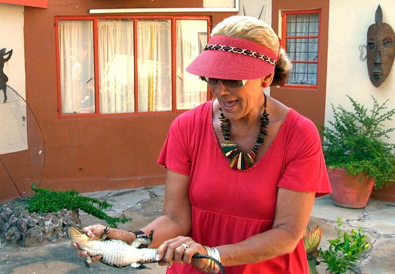 ARD/​SWR DAS WAISENHAUS FÜR WILDE TIERE FOLGE 5, „Abenteuer Afrika“, SWR Dokuserie mit 40 Folgen, deren Schauplatz die Tierrettungsstation „Harnas“ am Rand der afrikanischen Kalahari-Wüste ist. Die Gründerin von Harnas, Marieta van der Merwe, hilft beim Umsiedeln der Krokodilbabys. – Bild: SWR