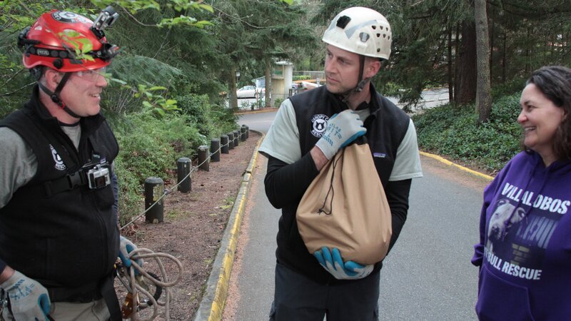 Shaun Sears holds a safely rescued Indy while chatting with Tom Otto and owner, Tricia Joy. – Bild: Discoverz /​ Discovery Communications, Inc.