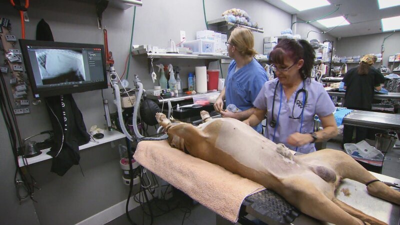 . – Bild: Warner Bros. Discovery