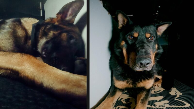 Bild: Amazon Web Services, Inc. or its affiliates.