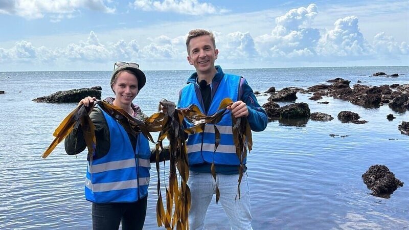 Algen – Klimahelden aus dem Meer – Bild: ZDF/​Eric Mayer