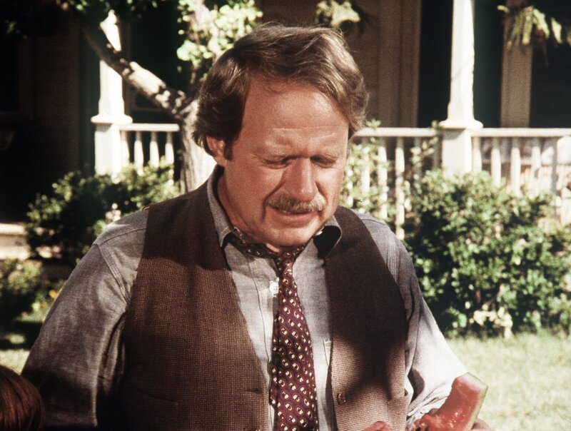 Der bekannte Journalist Porter Sims (Richard McKenzie) ist nach Waltons Mountain gekommen, um hier seinen Reiseführer zu beenden. – Bild: Sat.1 Gold