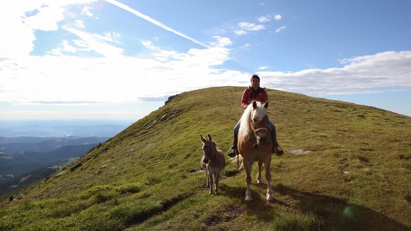 Eine Person reitet auf einem Pferd entlang eines Bergrückens, während ein Esel daneben geht, mit Blick auf das Tal im Hintergrund. – Bild: HIGH VIEW