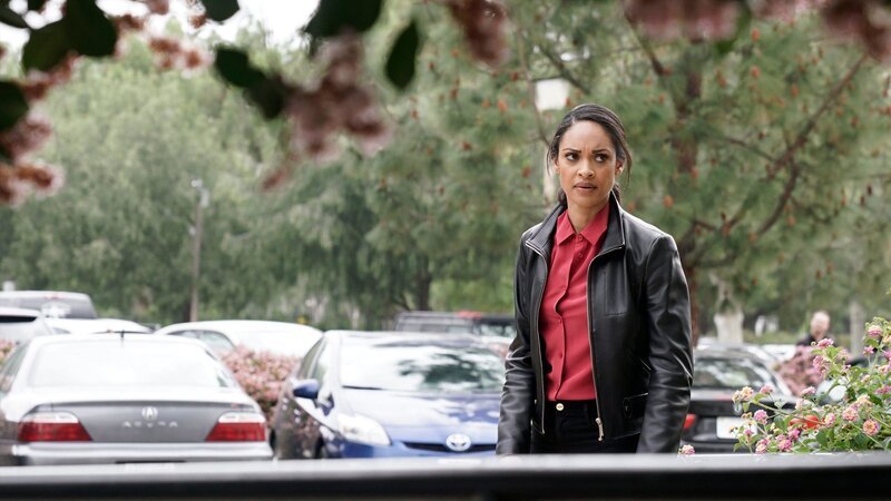 Bild: PLURIMEDIA (USA Network)