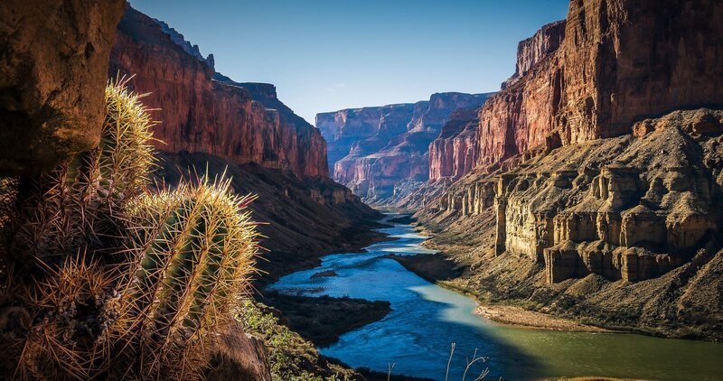 Eine Aufnahme des Grand Canyon; im Vordergrund ein Kaktus. – Bild: ZDF und Tobias Lenz, Autorenkombinat