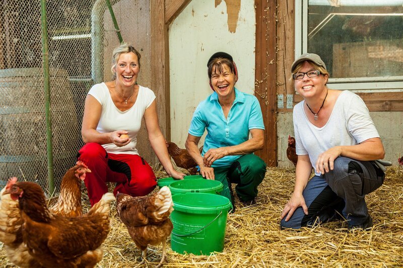 Vier Frauen, die bei dem SWR Sommerklassiker ‚Lecker aufs Land – eine kulinarische Reise‘ ihre Kochkünste schon einmal unter Beweis gestellt haben, sind bereit für ein neues Abenteuer im Südwesten. Diesmal lautet die Frage: Wer ist die beste Hofpraktikantin? Alle Vier packen in den Betrieben der anderen mit an und stellen sich dort spannenden, neuen Herausforderungen. Heute auf dem Bioland-Betrieb bei Beate und Thomas Lang in Obereisesheim bei Heilbronn. Hofpraktikantinnen im Hühnerstall der Arbeit, v.li. Brigitte Müller, Ingrid Jauernik, Alexandra Damm. – Bild: SWR/​megaherz/​Moritz Sonnentag