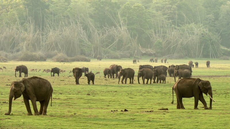 Bild: 3sat