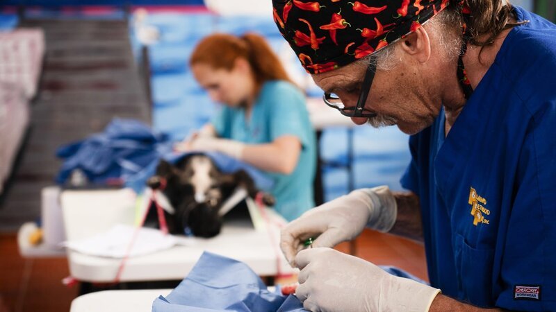 . – Bild: Warner Bros. Discovery