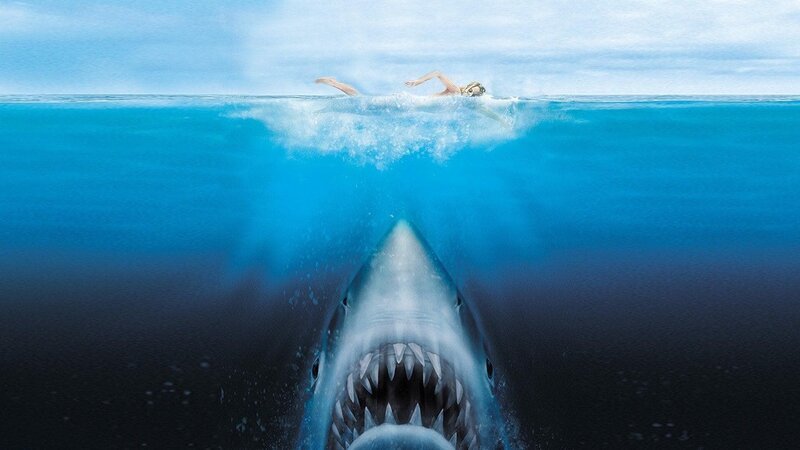 Der weiße Hai sorgt für Angst und Schrecken. – Bild: Sky Channel