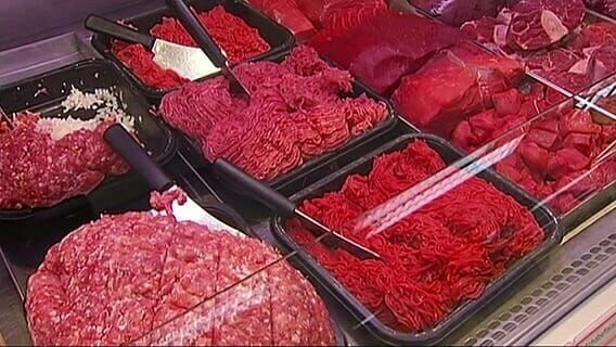 – Bild: NDR – Bild: NDR