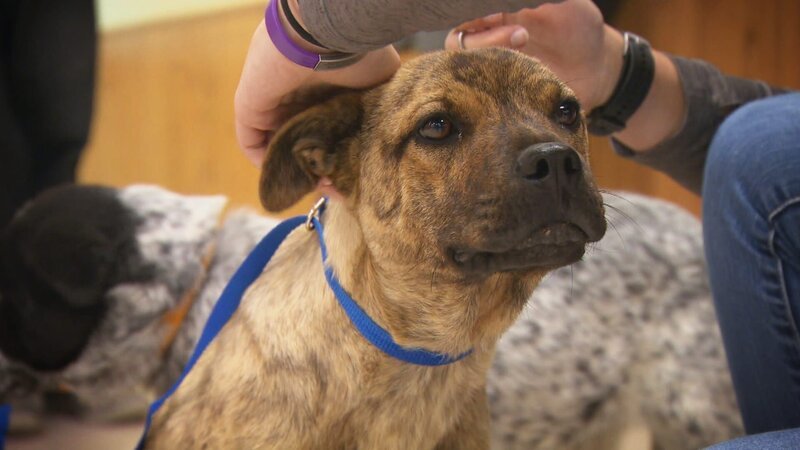 . – Bild: Warner Bros. Discovery